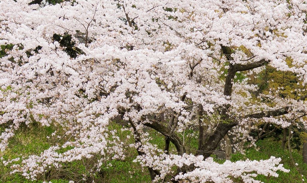 スクリーンショット_040915_092151_PM スクリーンショット_040915_092151_PM