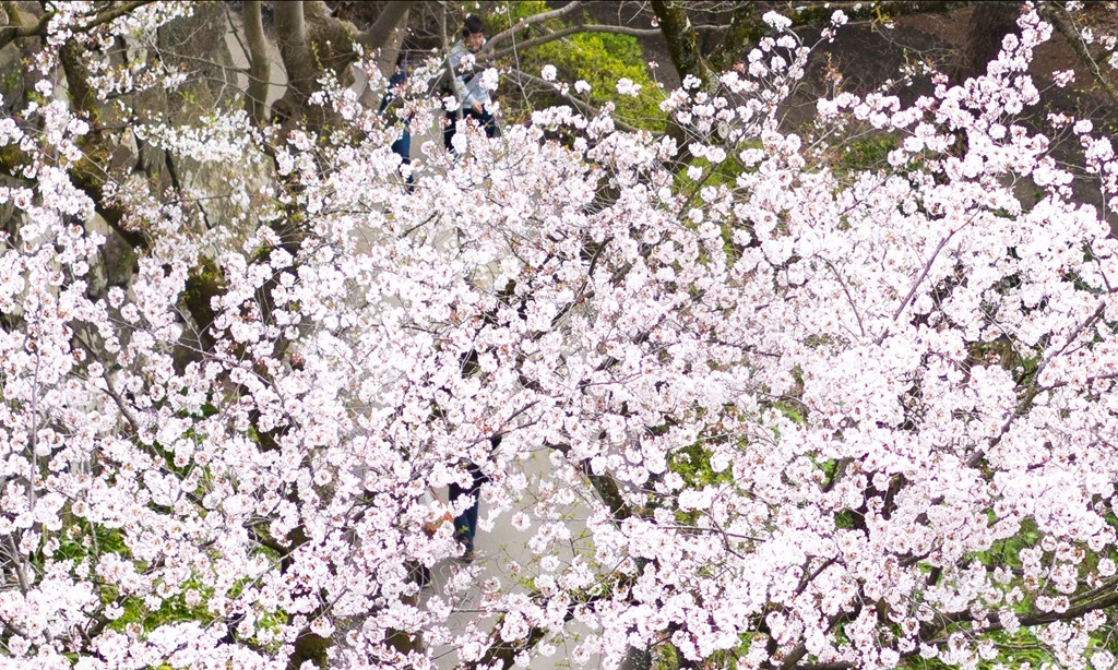 スクリーンショット_040915_092801_PM スクリーンショット_040915_092801_PM