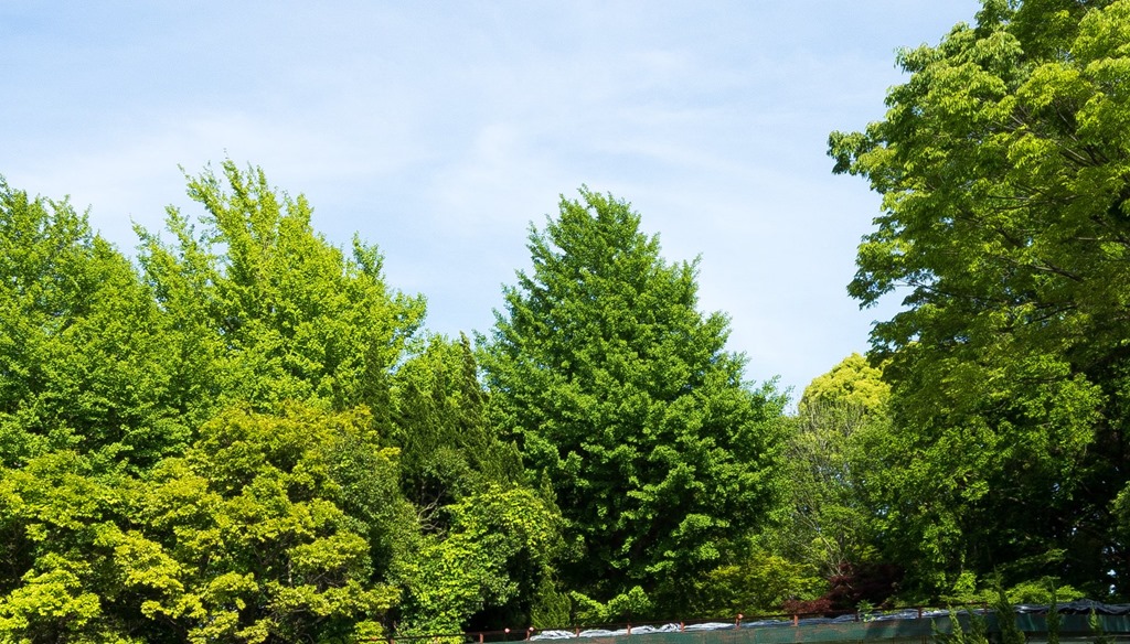 スクリーンショット_050415_055334_PM スクリーンショット_050415_055334_PM