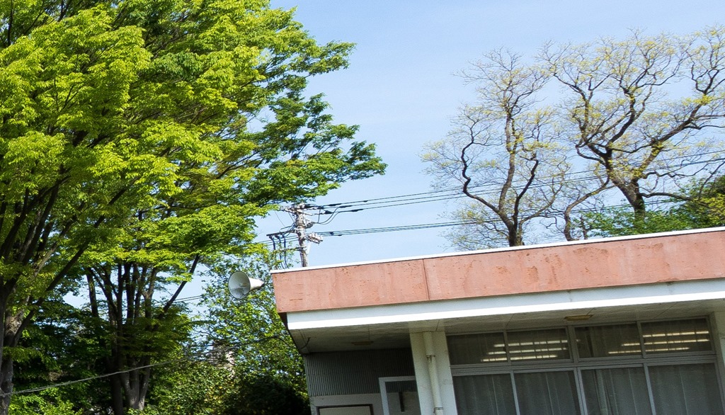 スクリーンショット_050415_055432_PM スクリーンショット_050415_055432_PM