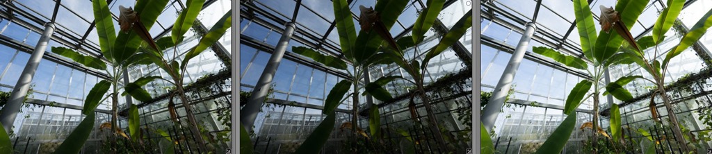 スクリーンショット_050415_085906_PM スクリーンショット_050415_085906_PM