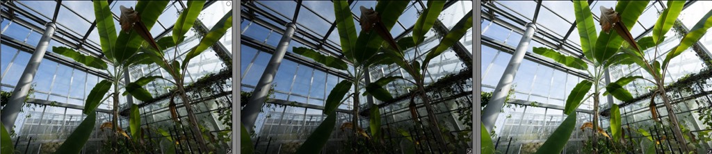 スクリーンショット_050415_091716_PM スクリーンショット_050415_091716_PM