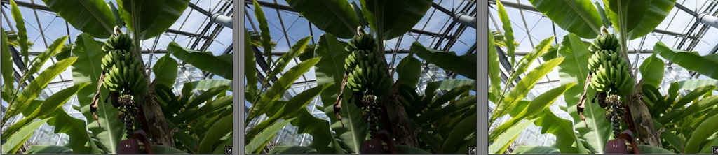 スクリーンショット_050415_091926_PM