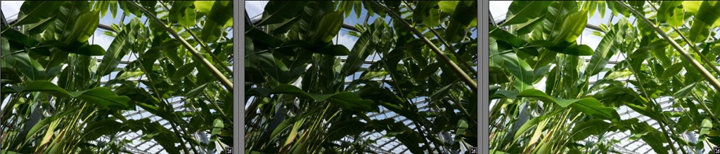 スクリーンショット_050415_091949_PM スクリーンショット_050415_091949_PM