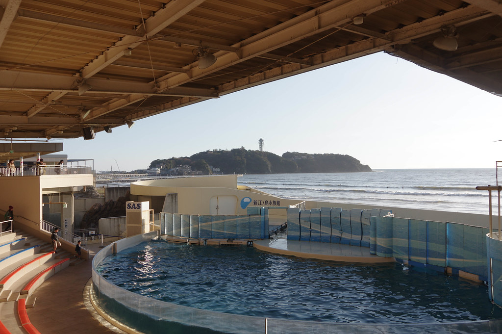 IMGP0435.jpg IMGP0435.jpg