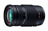 Panasonic LUMIX G VARIO 100-300mm F4.0-5.6 MEGA O.I.S H-FS100300