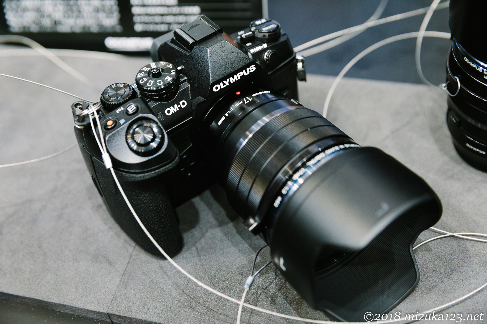 Canon EOS 5D Mark IV - EF24-70mm f/2.8L II USM - 1/50 秒 (f / 4.0) - ISO 2000