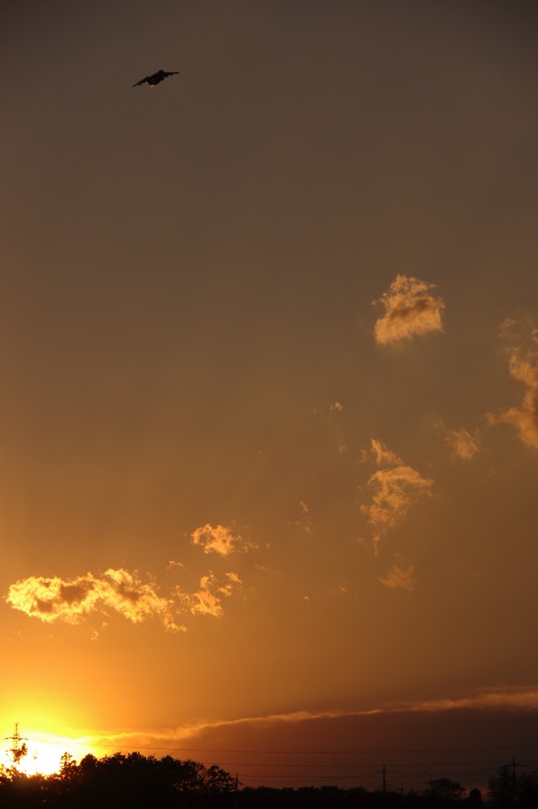 IMGP0814.jpg IMGP0814