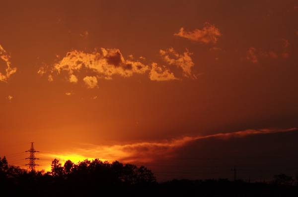 IMGP0837.JPG IMGP0837